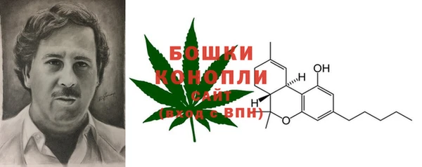 мяу мяу кристалл Бородино
